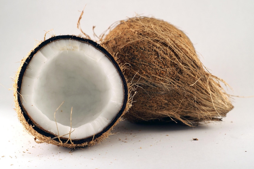Coconut whole fruit