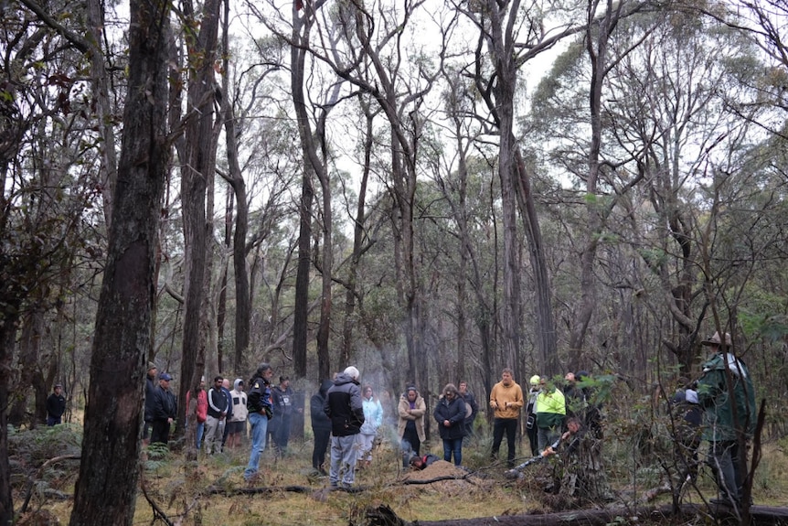People standing in a forest around a grave site