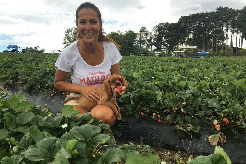Ruth Gallace crunched in a strawberry field while holding a puppy.