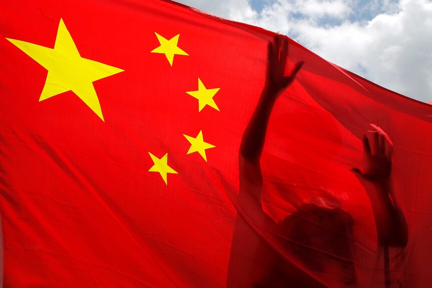 A pro-China supporter holds a Chinese national flag.