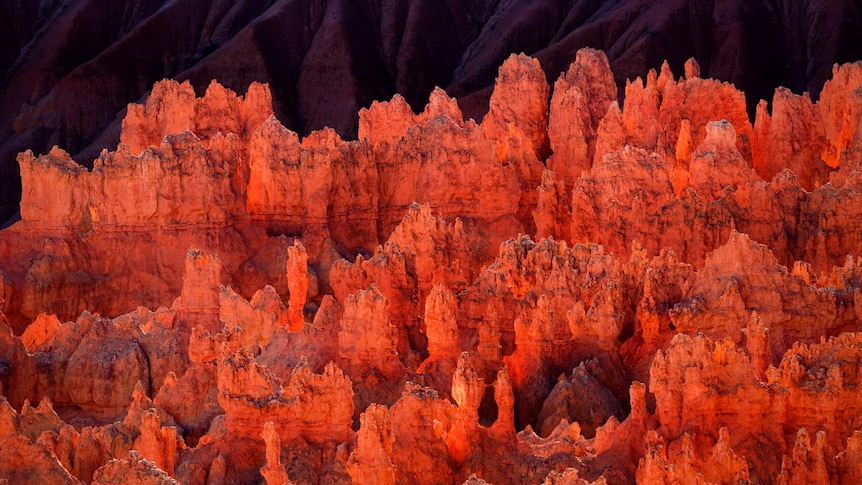 Bryce Canyon by Helen McFadden
