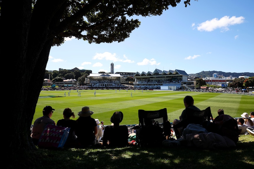 A crowd watches at the Basin Reserve