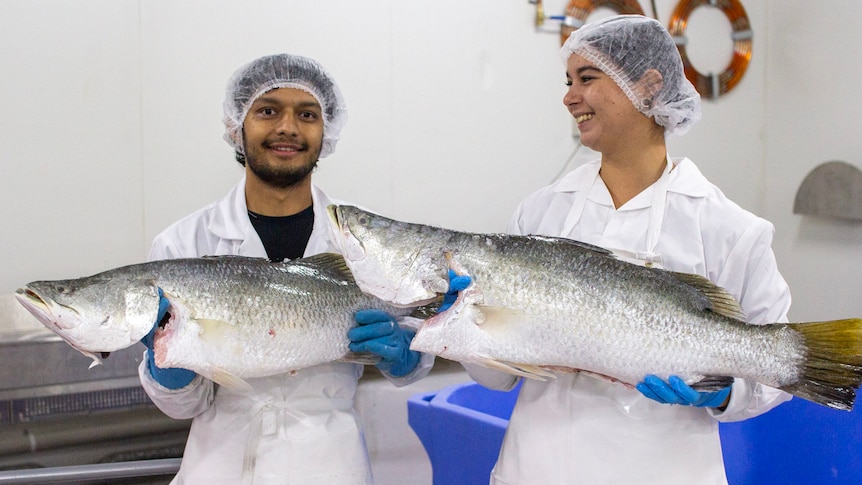 Two people holding big fish.