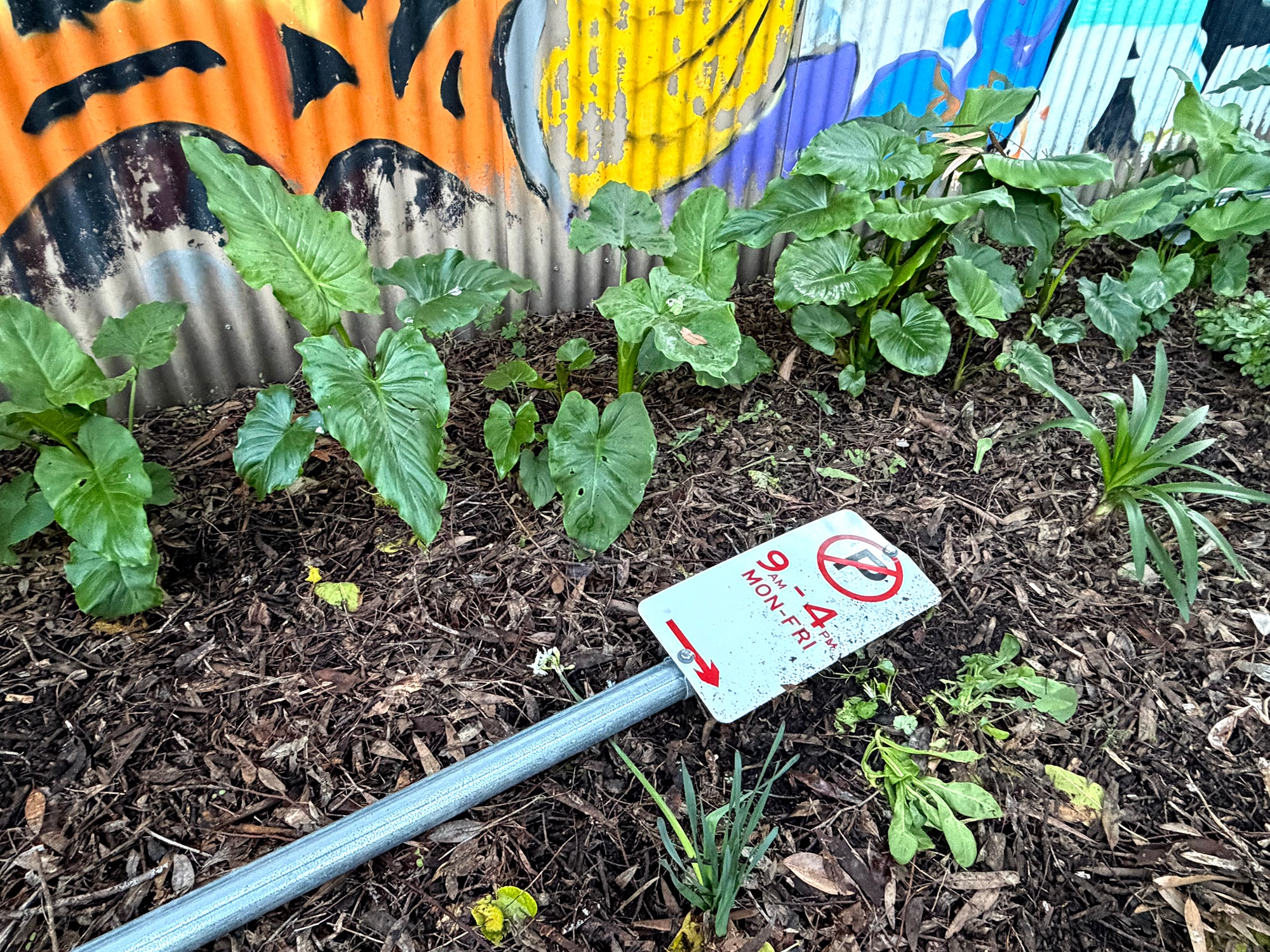 No parking signs turfed into creek at hospital redevelopment site