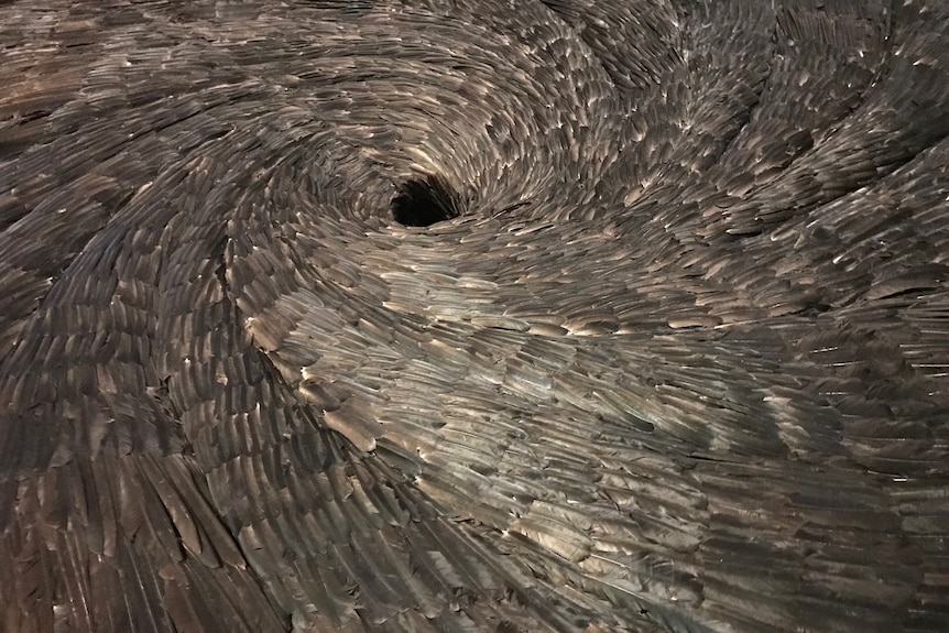 A swirl of hundreds of feathers