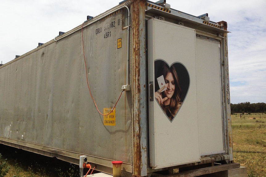 An old  shipping container has been transformed into a mobile abattoir, clad in refrigerated panels, recycled from a casino.