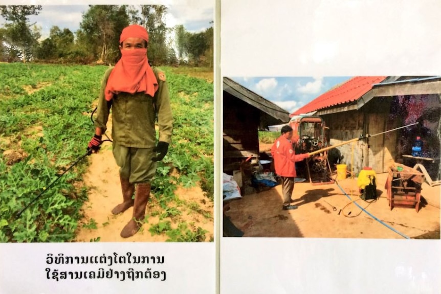 Posters help illustrate safe chemical practices to Laos farmers