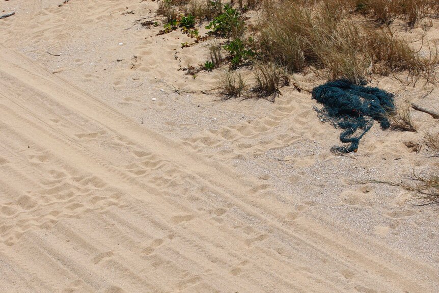 Turtle tracks in white sand lead to green fishing net that is washed up on beach.