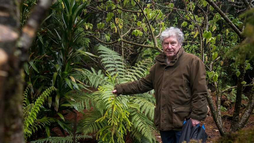 A man stands in a lush green garden holding a small cypress tree which comes up to his waste. He is carrying a folded umbrella.