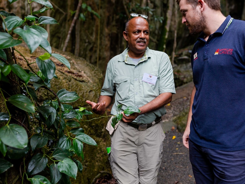 A man holds a green vine in his hands as he talks to another man next to him. Rock and moss in background.