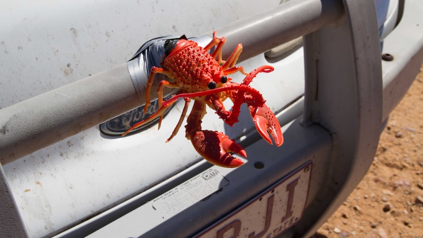 A bright orange plastic yabbie sourvenir is attached to the bullbar of the white Ford.
