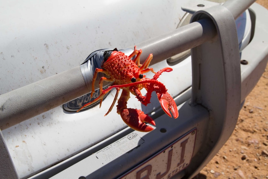 A bright orange plastic yabbie sourvenir is attached to the bullbar of the white Ford.