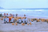 A multitude of workers clean up the oil on Moreton Island