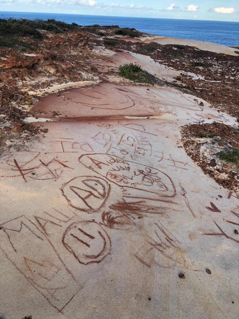 smiley faces and names scrawled on white sandstone inside a national park