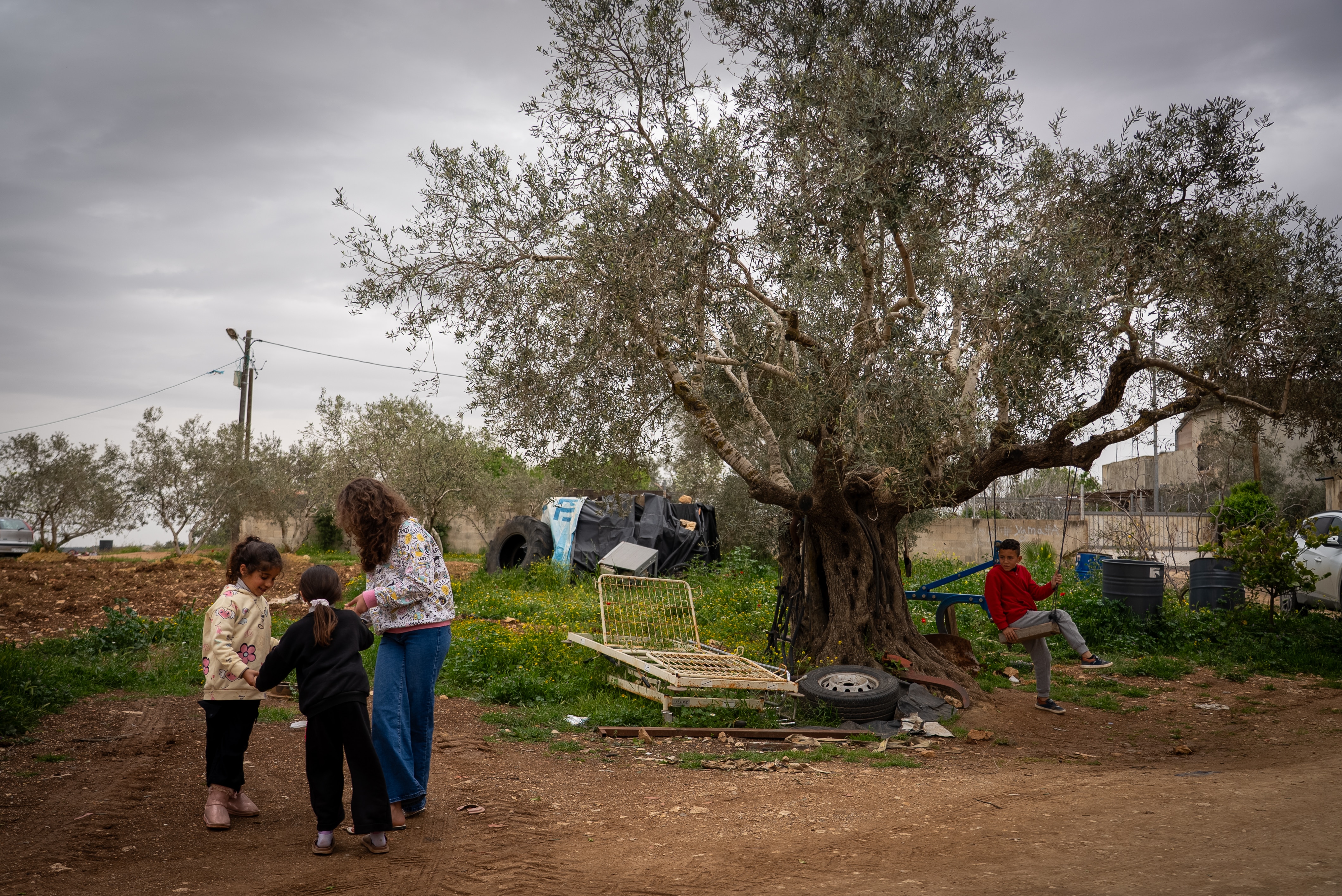 Children playing in a backyard surrounded by trees and grass.