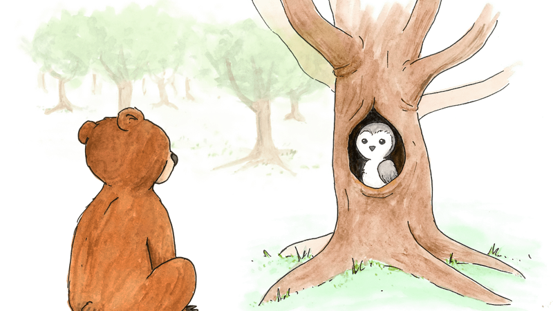 Mr Owl in his tree