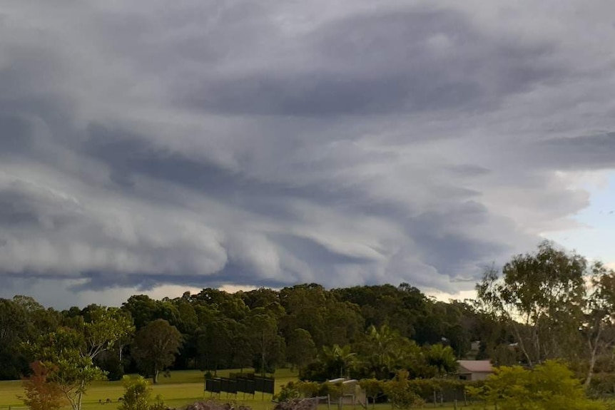 Storm clouds over bushland