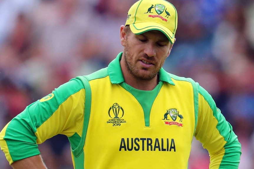 Aaron Finch has his hands on his hips and looks downwards with a disappointed look on his face.