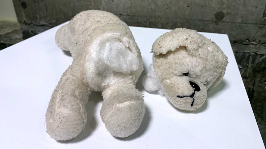 A decapitated toy bear in the Museum Of Broken Relationships exhibit.