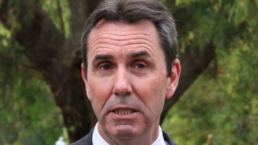 Peter Collier, WA Education Minister with tree behind