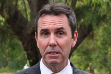 Peter Collier, WA Education Minister with tree behind