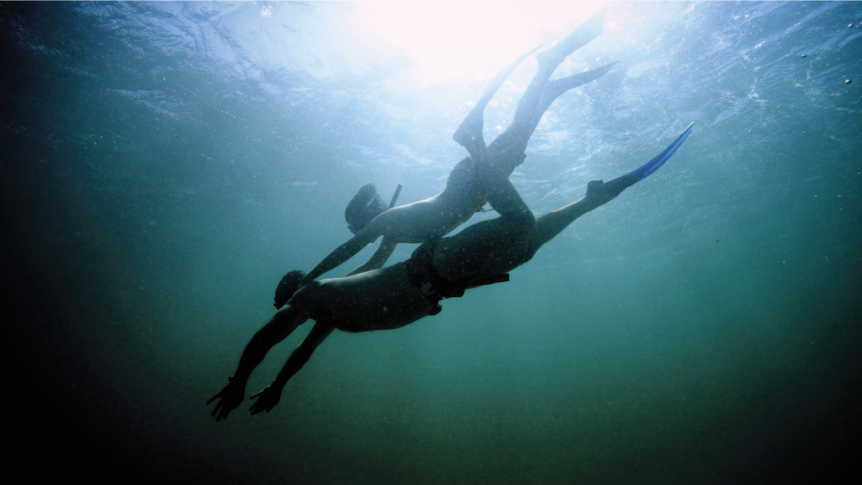 In deep, clear green water the silhouette of a man and child dive downwards.