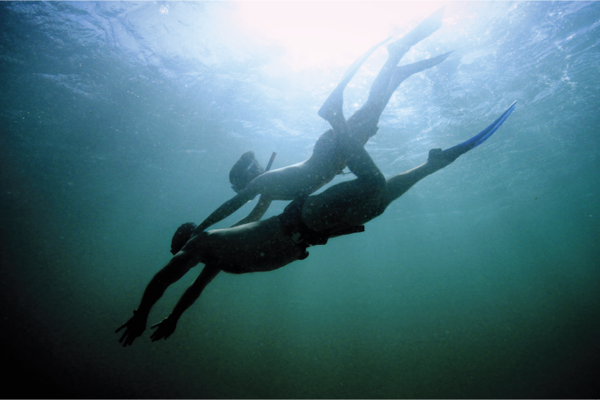 In deep, clear green water the silhouette of a man and child dive downwards.