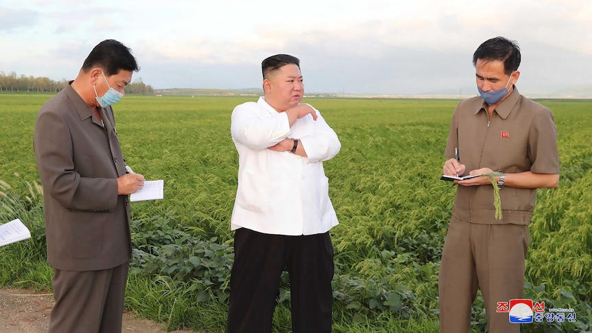 North Korean leader Kim Jong Un speaks to officials while standing by a corn field.