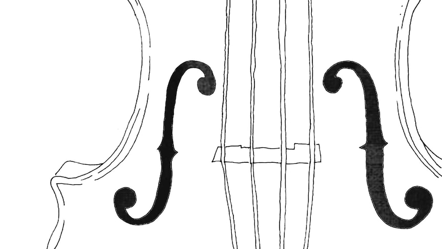 A black and white line drawing of the body of a violin, featuring the strings, the bridge and the f holes.