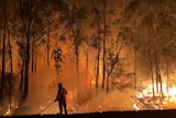 A firefighter tries to contain a fire in the early hours of the morning in the Darling Downs region.