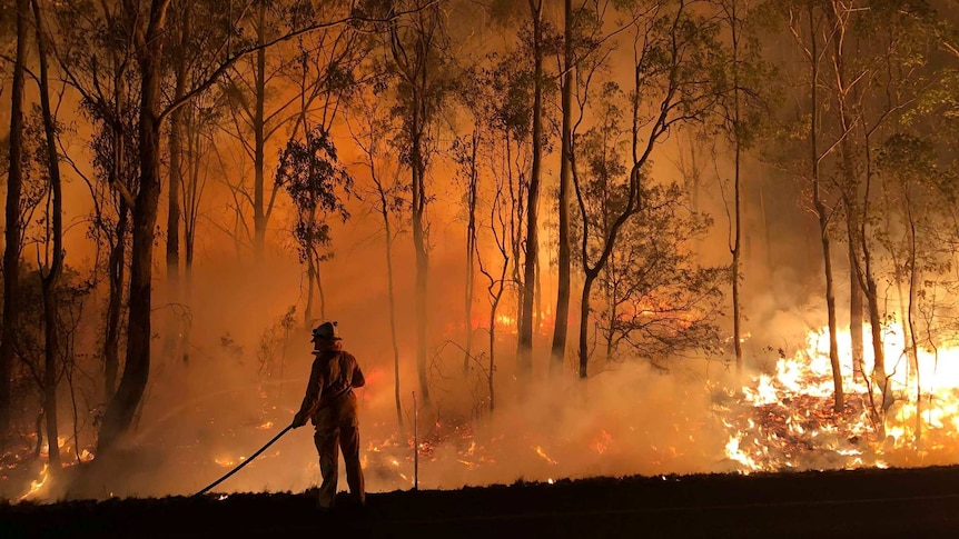 A firefighter tries to contain a fire in the early hours of the morning in the Darling Downs region.