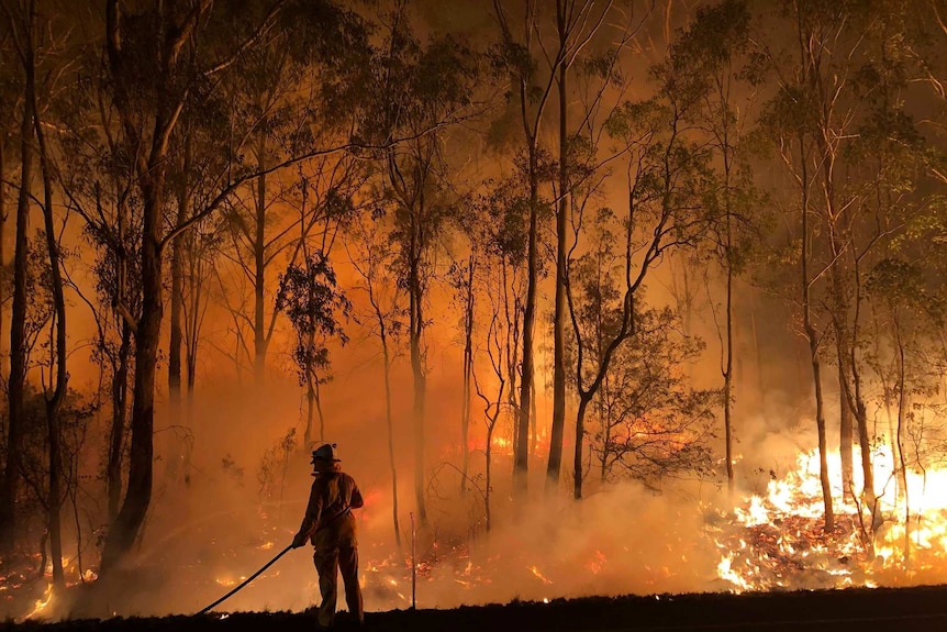 A firefighter tries to contain a fire in the early hours of the morning in the Darling Downs region.