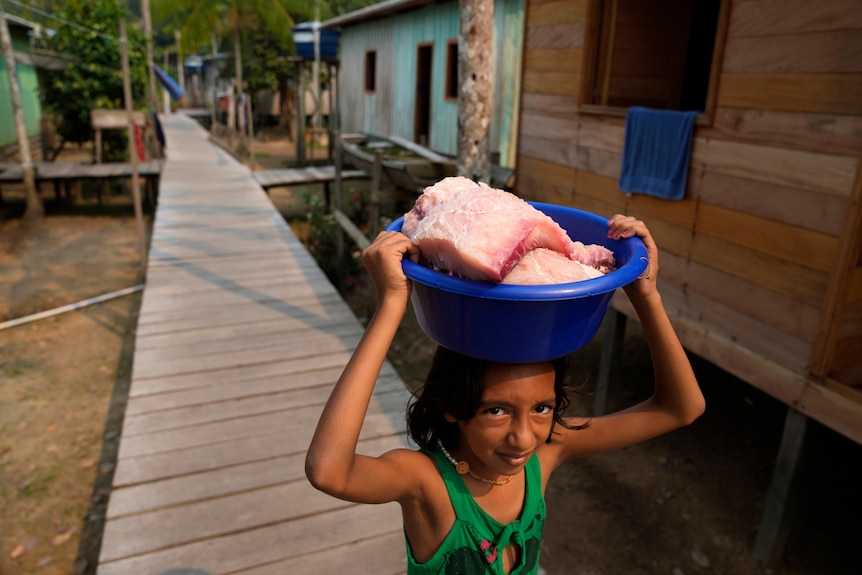 a small child walks along a wooden boardwalk holding pieces of large fish flesh in bucket above her head