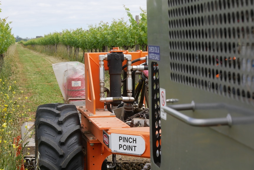 Farm slasher trailer with a row of vines in the background.