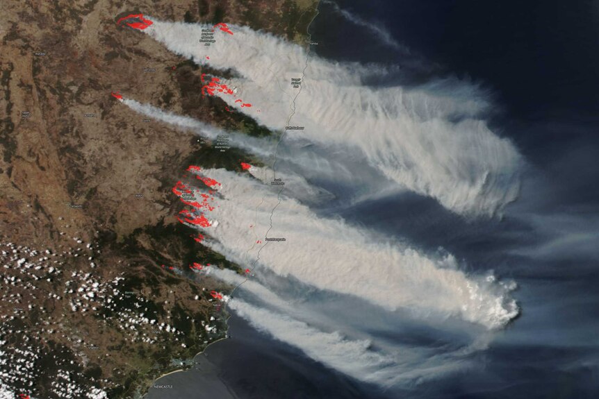 satellite image of the new south wales coastline with smoke billowing east