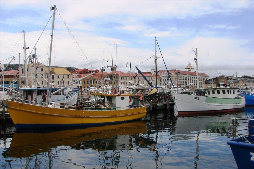 Fishing boats, Constitution Dock, Hobart