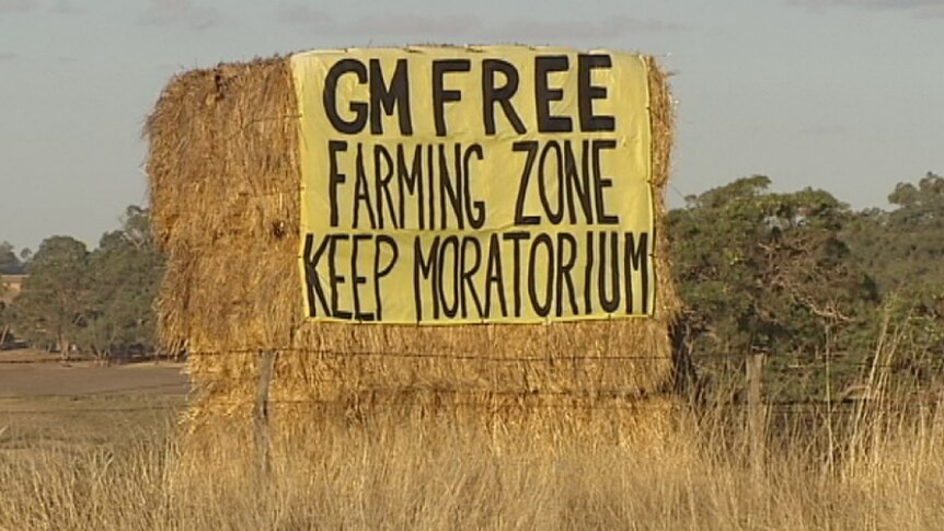 A GM free sign is attached to a hay bale near Williams in Western Australia