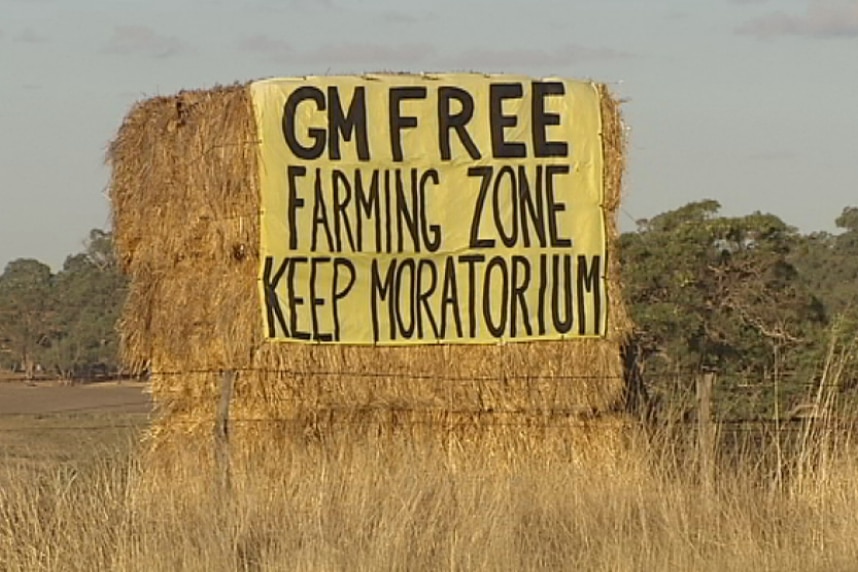 A GM free sign is attached to a hay bale near Williams in Western Australia