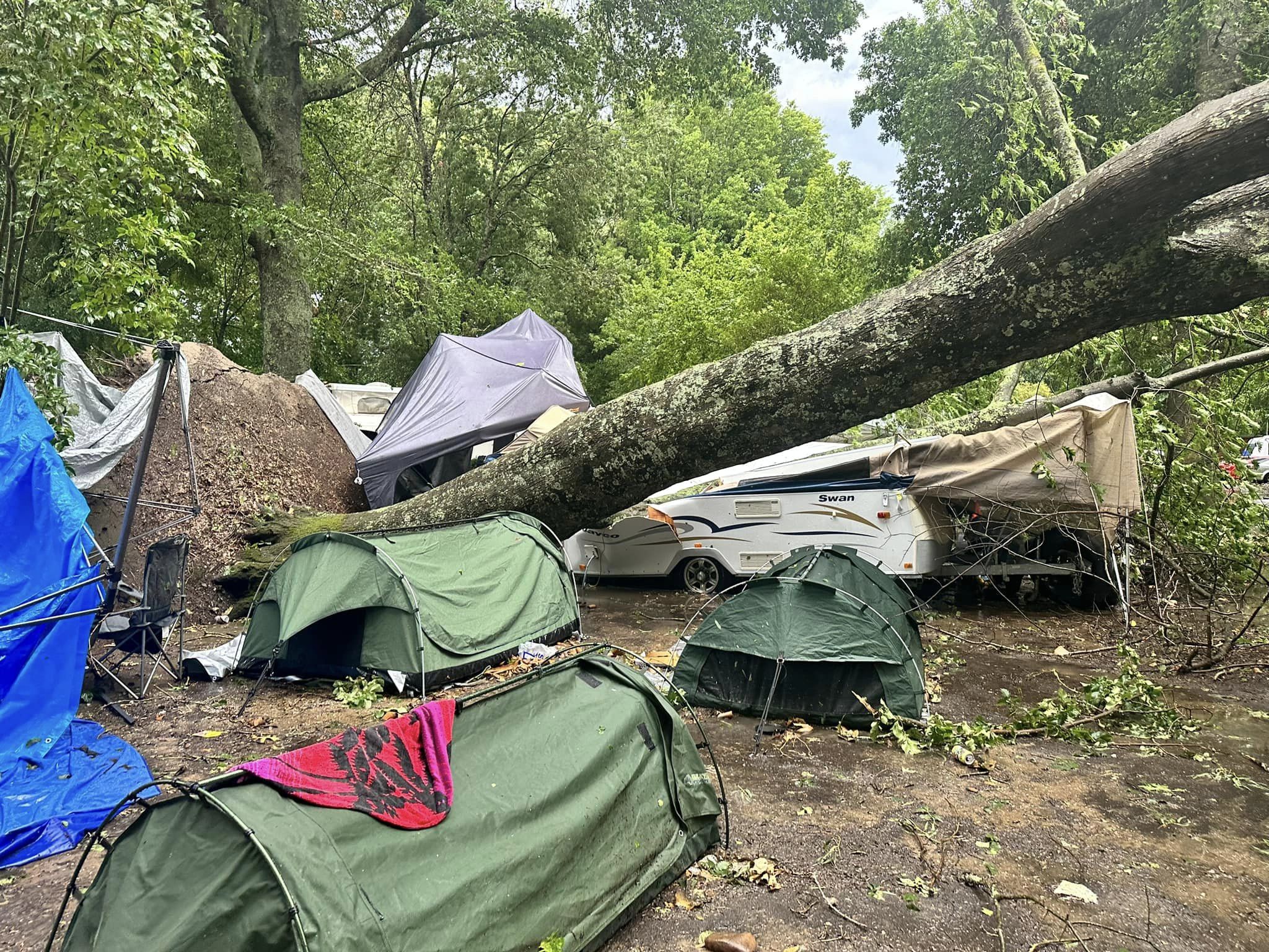 A large tree fallen near several tents. 