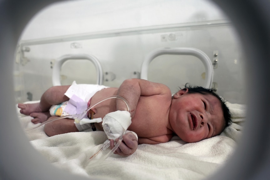 A baby cries while recovering in a hospital incubator