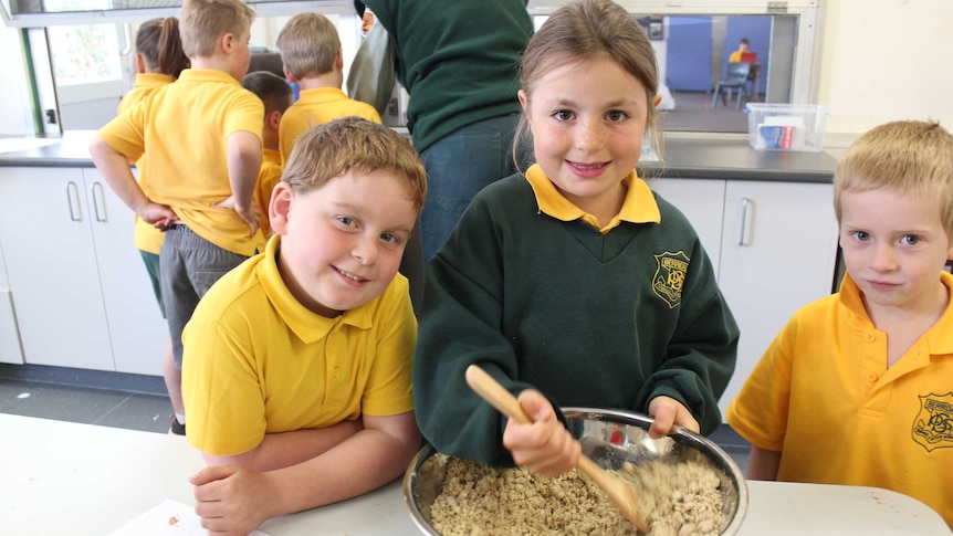 Primary school kids bake biscuits for endangered pygmy possums.