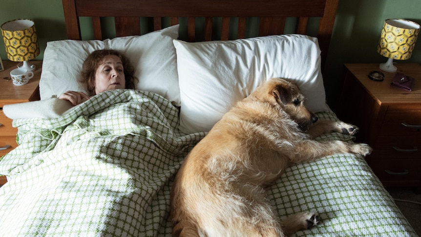 An older woman lying in a double bed with a dog resting his head on the pillow beside her