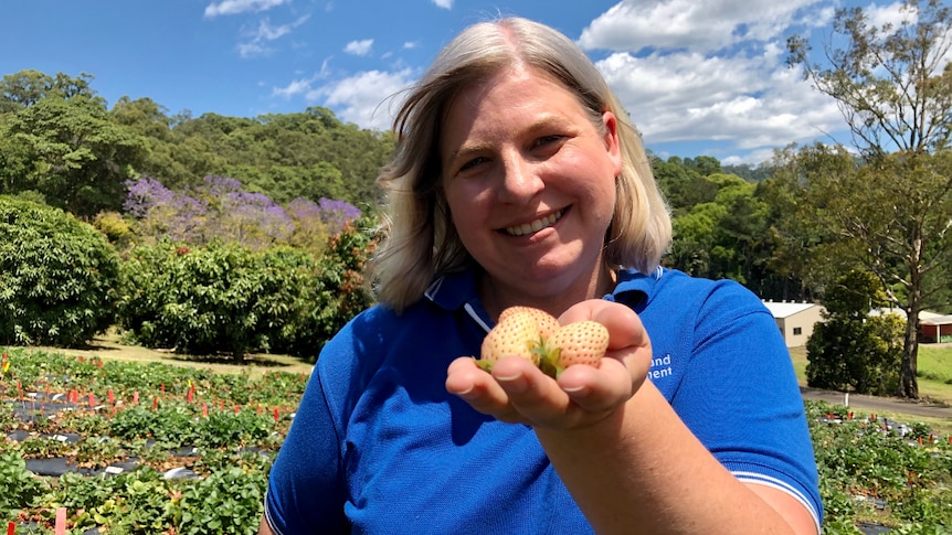 A woman smiles holding up white strawberries in her hand.