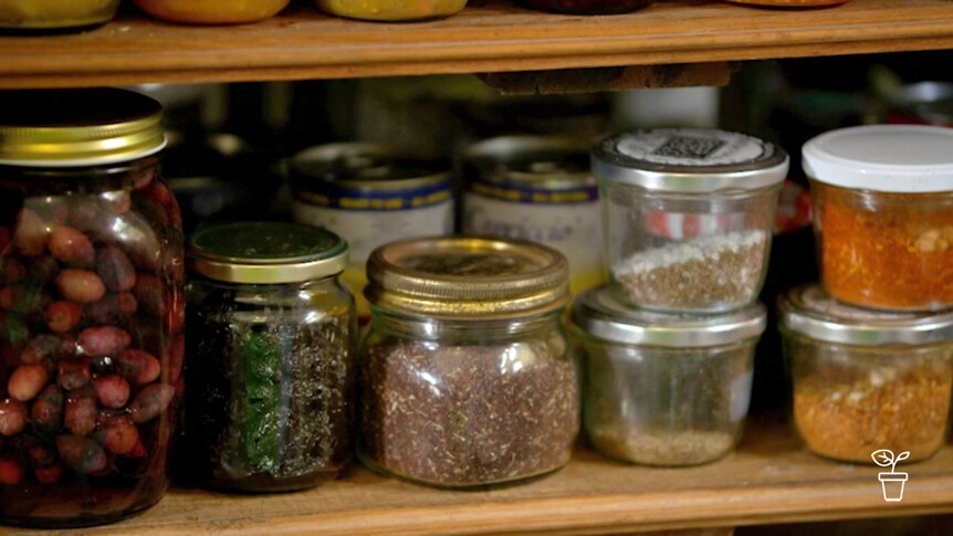 Jars filled with a range of seeds and beans