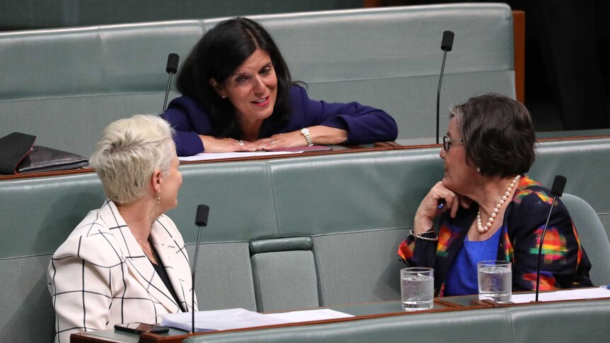 Julia Banks rests her hands on her desk and smiles while speaking to people in Parliament.