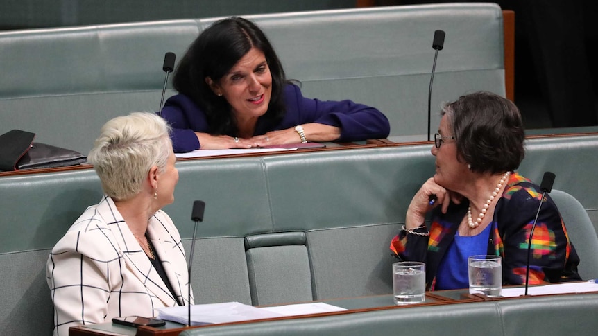 Julia Banks quits to sit on crossbench (Photo - ABC News: Toby Hunt)