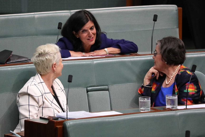 Julia Banks rests her hands on her desk and smiles while speaking to people in Parliament.