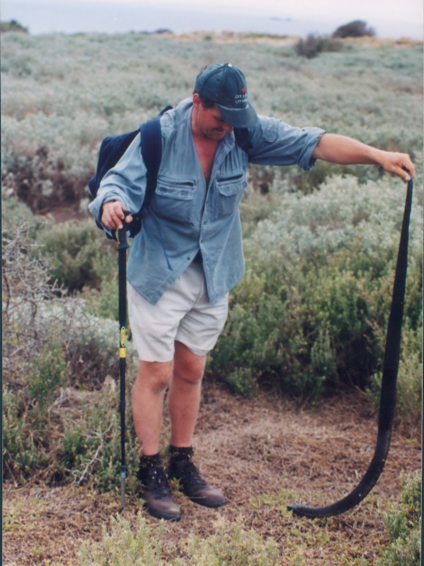 Man in shorts and wearing a blue top with blue cap. Holding snake tail, snake head is resting on ground. It is black