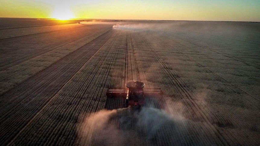 Headers in a paddock at sunset.