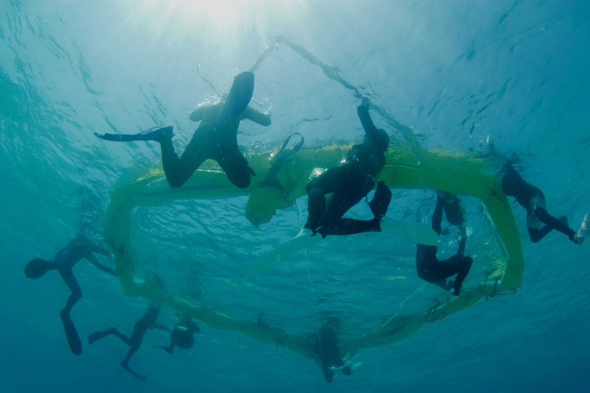 underwater shots of scientists setting up floating nets to catch spawn on reef